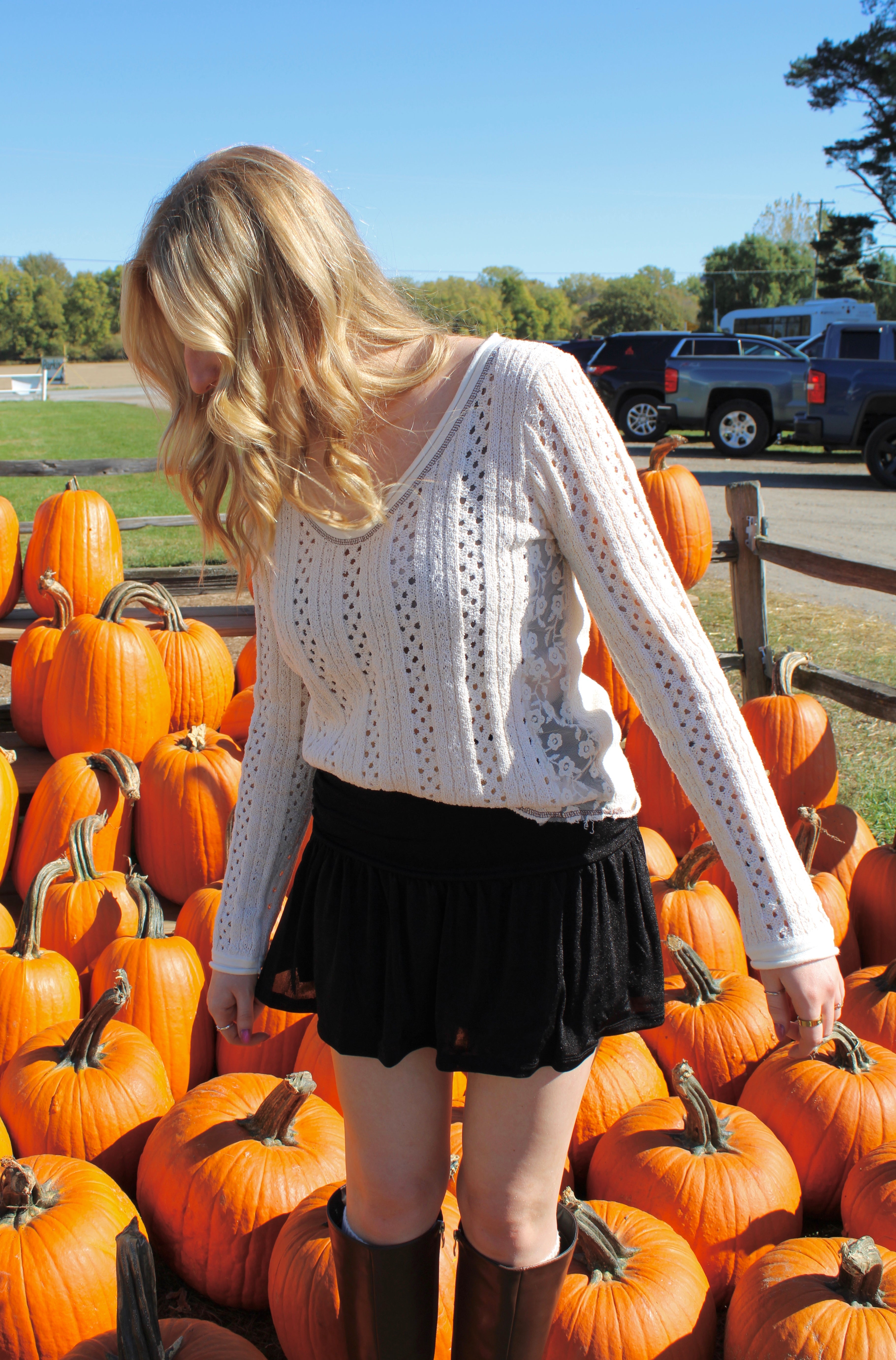 Pumpkin Pie Collection